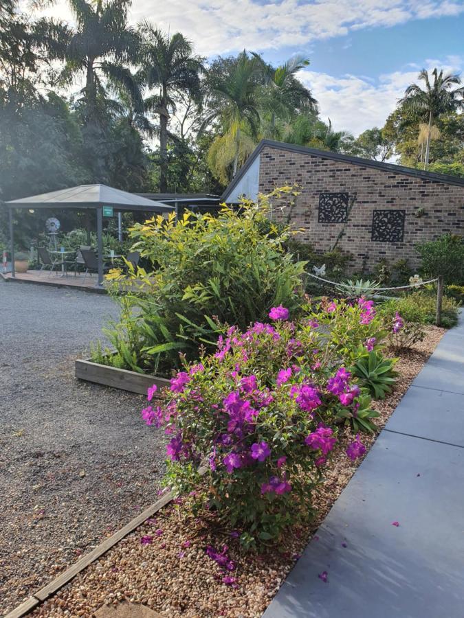 Beerwah Motor Lodge Exterior foto